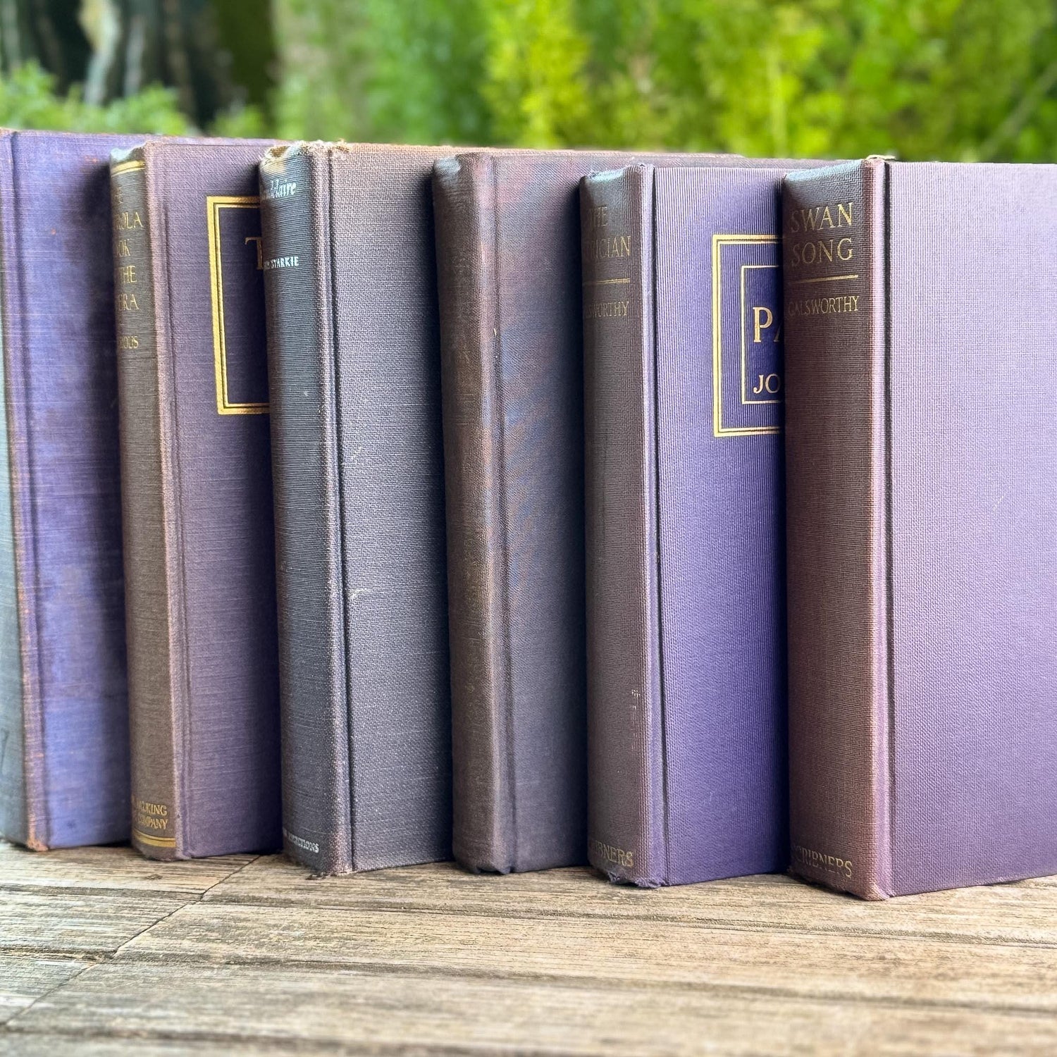 Vintage Mauve and Purple Shabby Vintage Books for Shelf Styling
