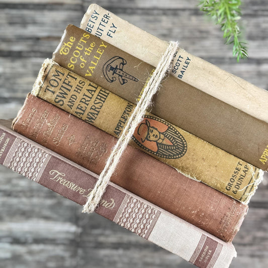 Neutral Brown Mauve Tan Children's Vintage Book Set For Shelf Styling