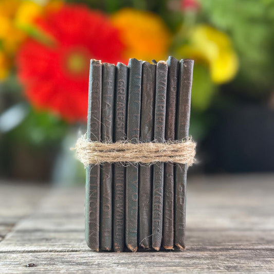 Tiny Antique Green Little Leather Library Books