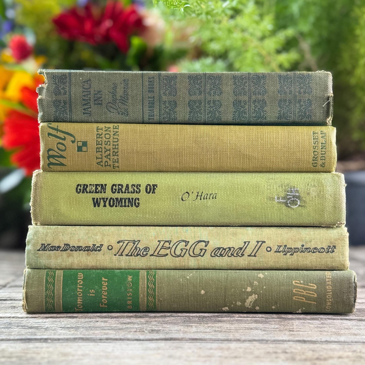Olive Green Shabby Faded Books for Shelf Styling