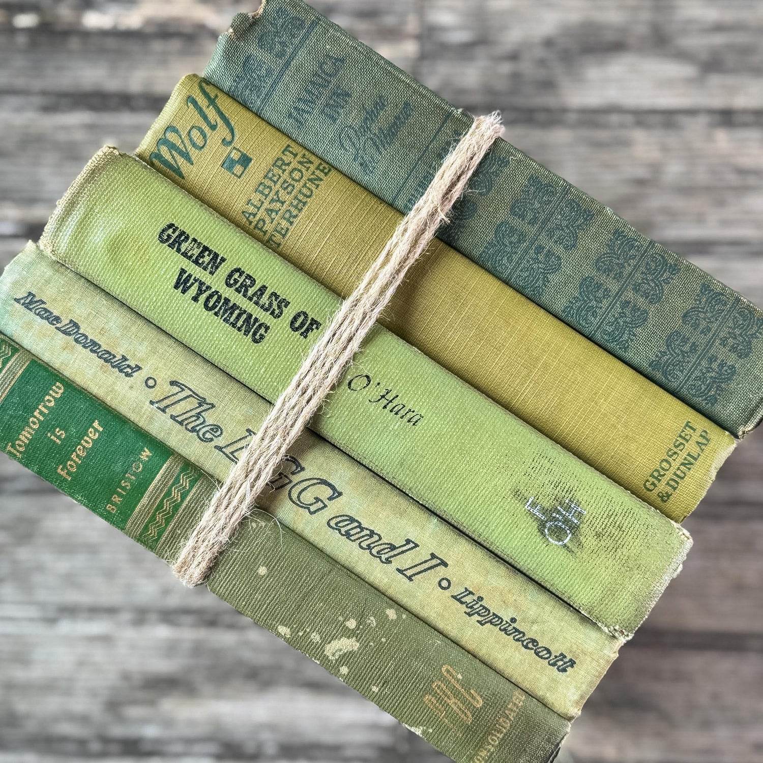 Olive Green Shabby Faded Books for Shelf Styling