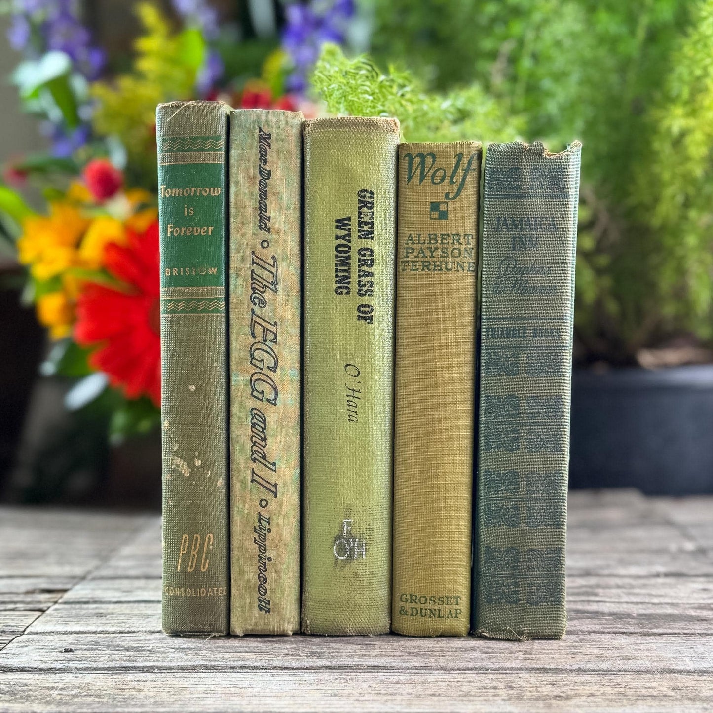 Olive Green Shabby Faded Books for Shelf Styling