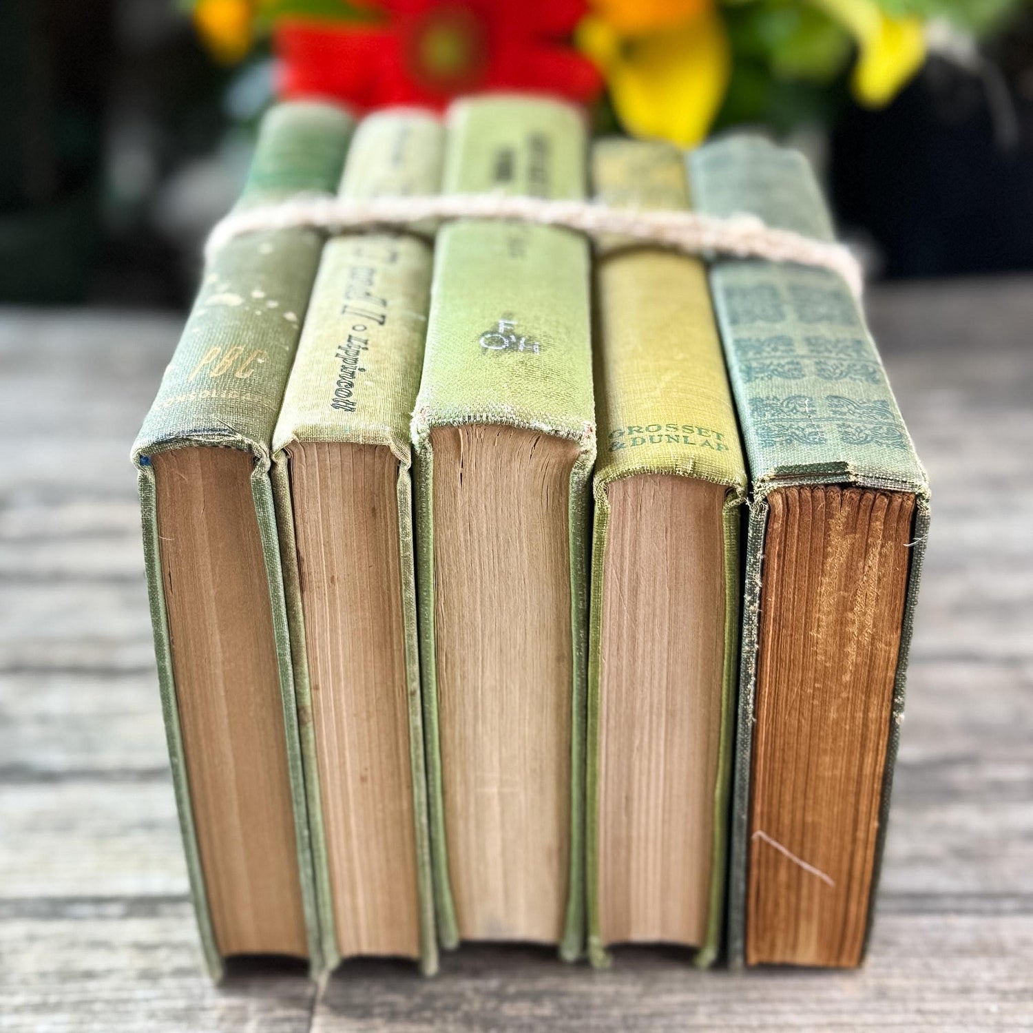 Olive Green Shabby Faded Books for Shelf Styling