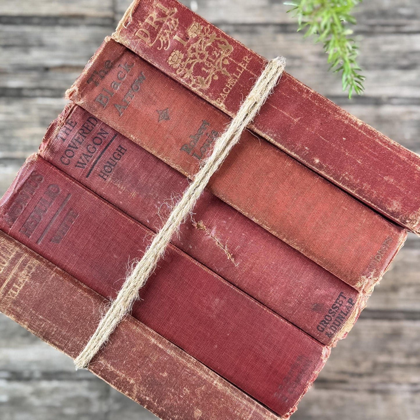 Antique Red Shabby Cozy Book Bundle