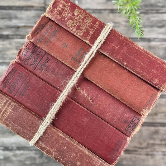 Antique Red Shabby Cozy Book Bundle