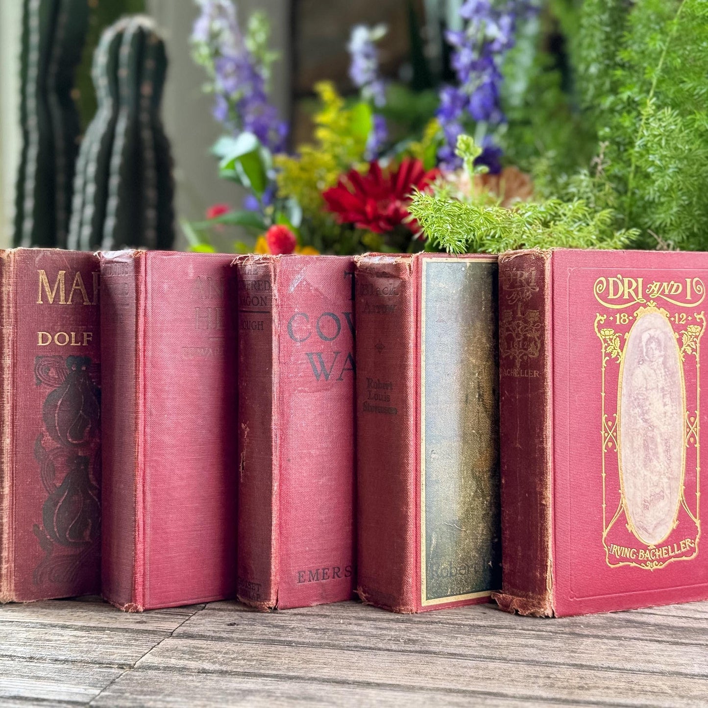 Antique Red Shabby Cozy Book Bundle