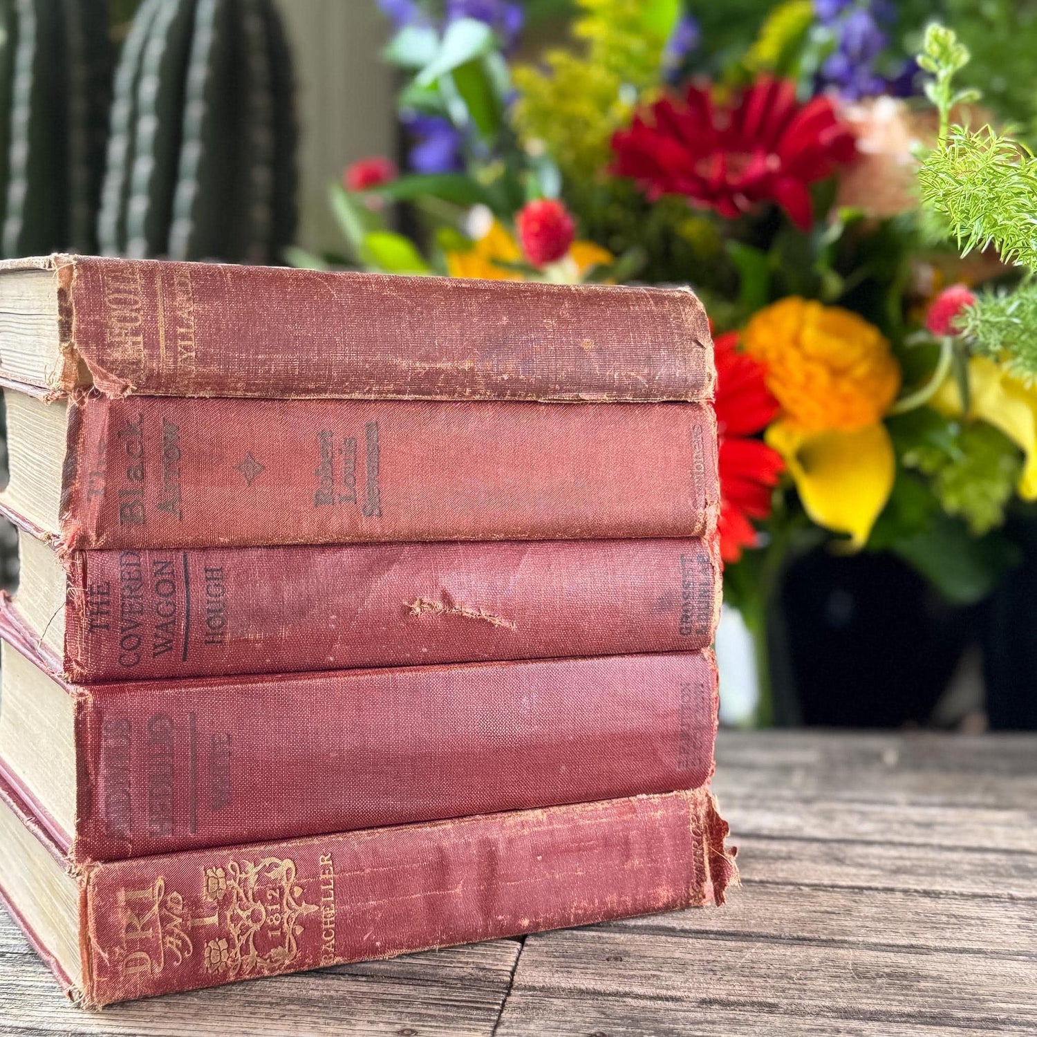 Antique Red Shabby Cozy Book Bundle