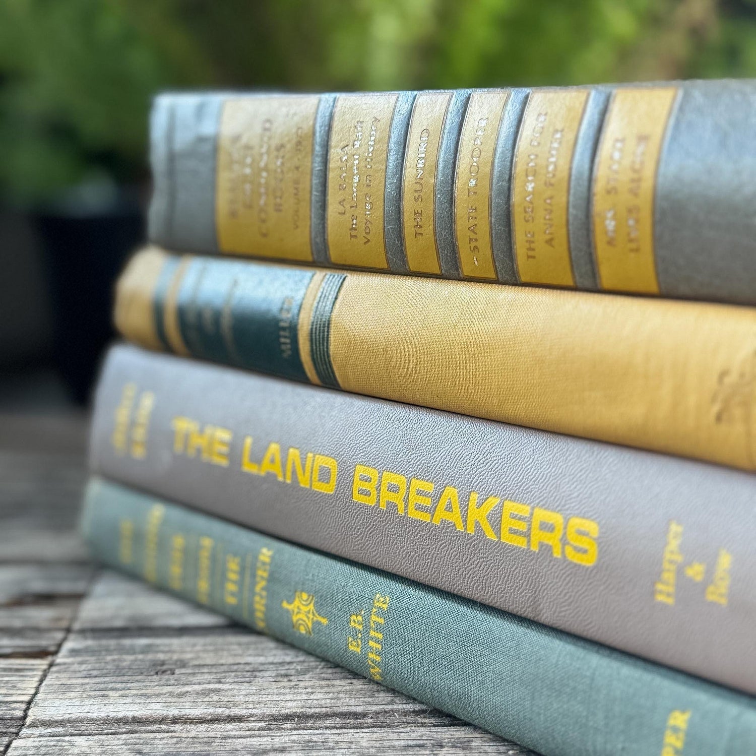 Gray and Yellow Vintage Mid-Century Book Bundle for Shelf Styling