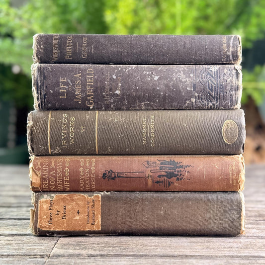 Antique Brown Vintage Book Set for Moody Decor