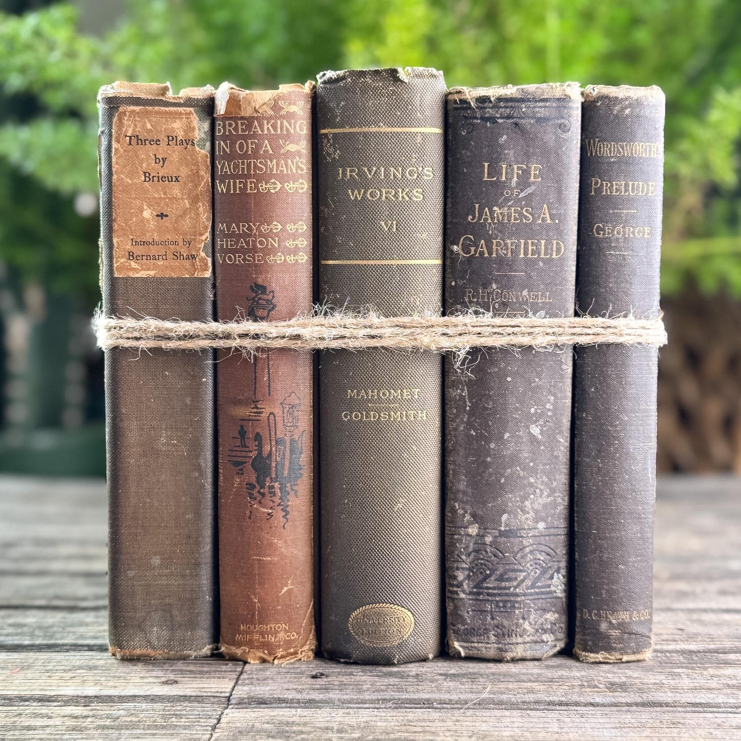 Antique Brown Vintage Book Set for Moody Decor