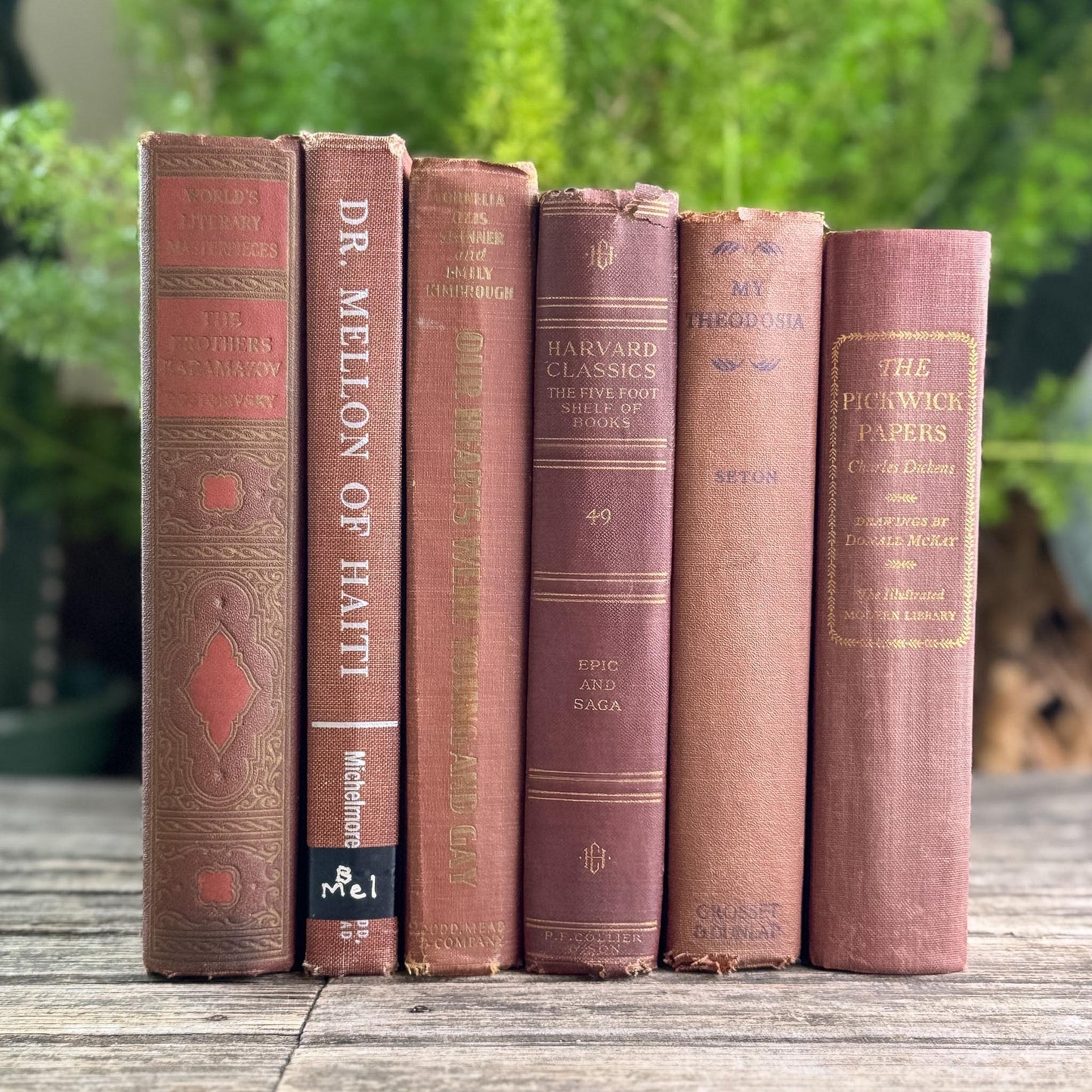 Copper Brown Warm Vintage Book Set