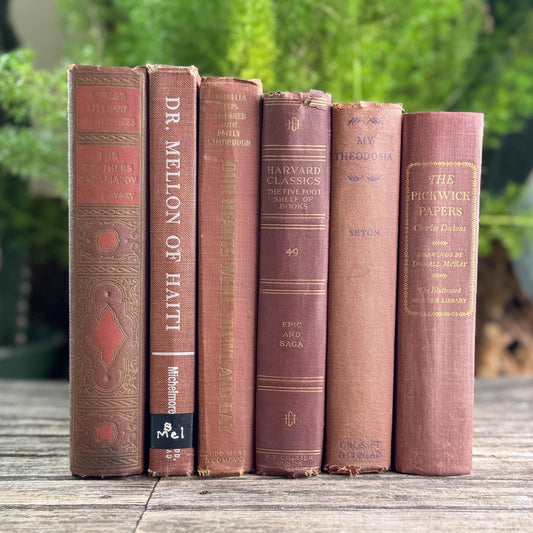 Copper Brown Warm Vintage Book Set