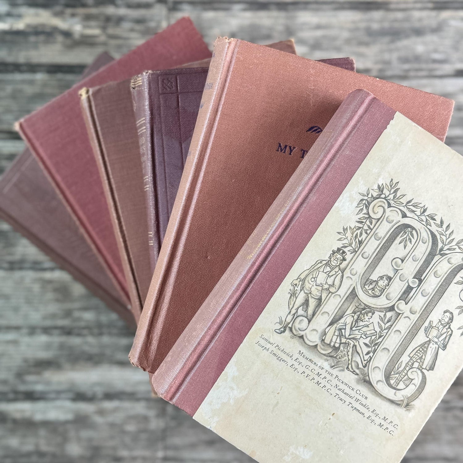 Copper Brown Warm Vintage Book Set