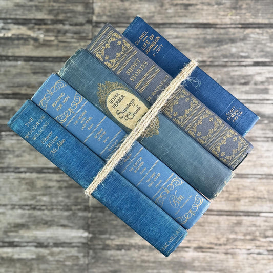 Ornate Blue and Gold Vintage Book Set for Moody Shelf Styling