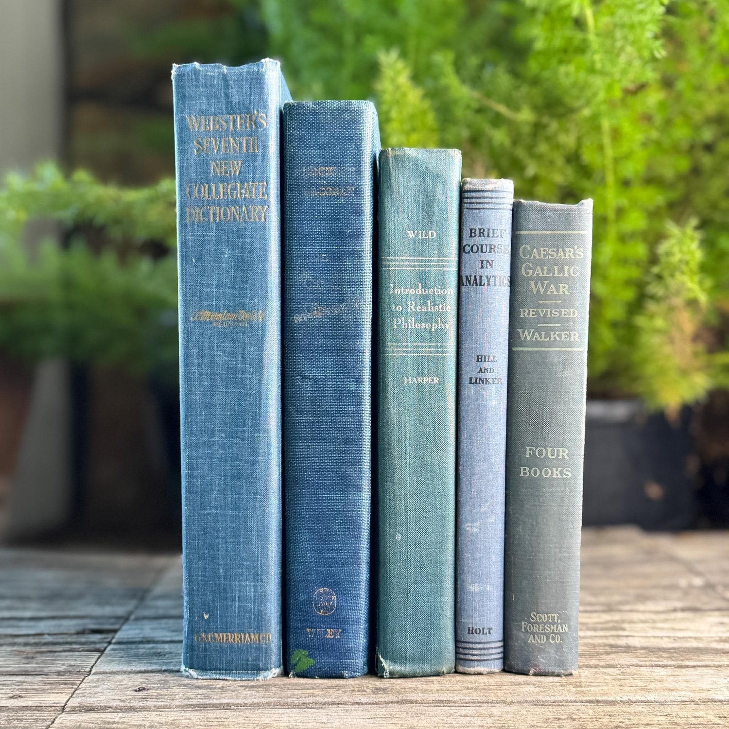 Denim Blue Vintage Book Bundle for Clean Academic Shelf Styling