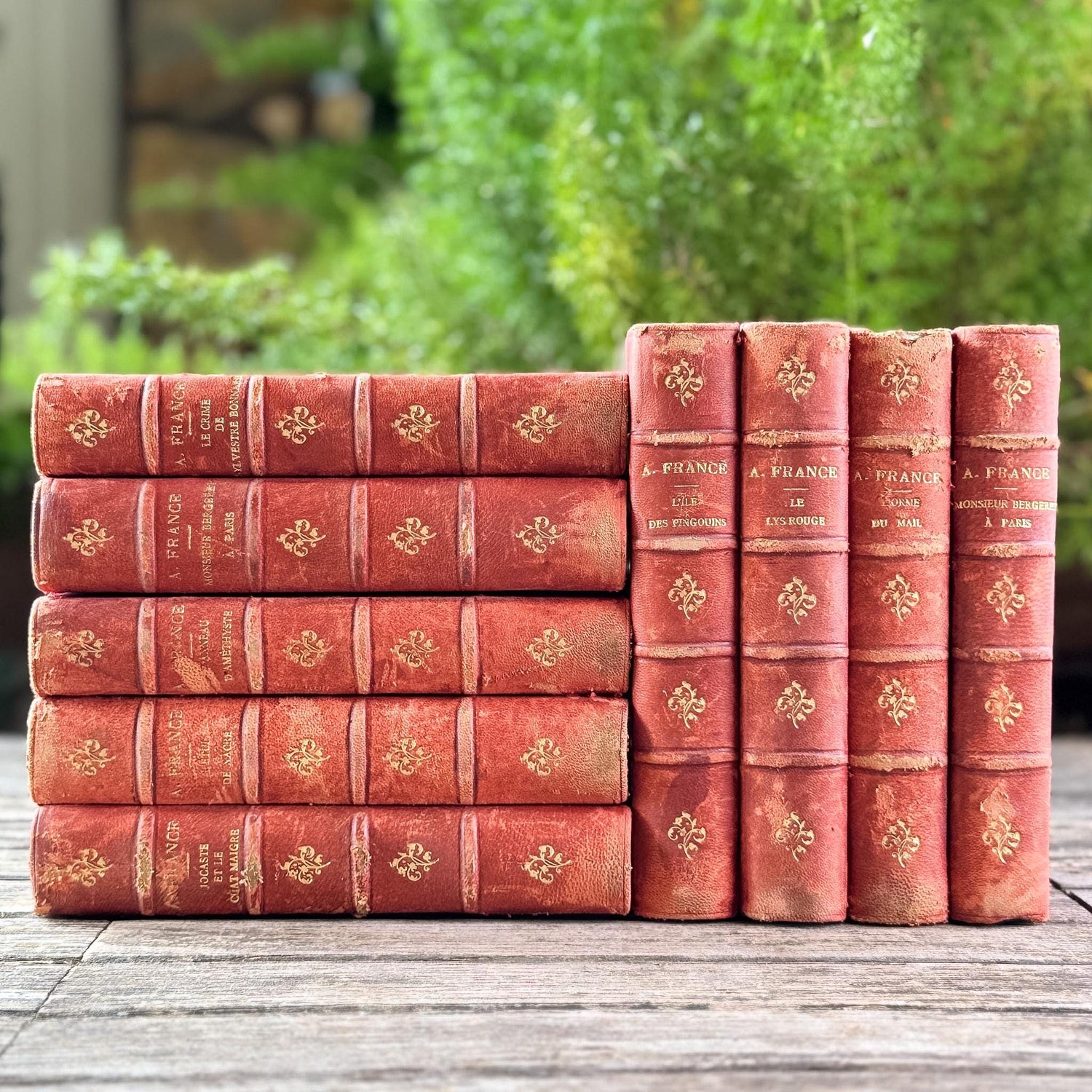 Antique French Red Leather Anatole France Book Set