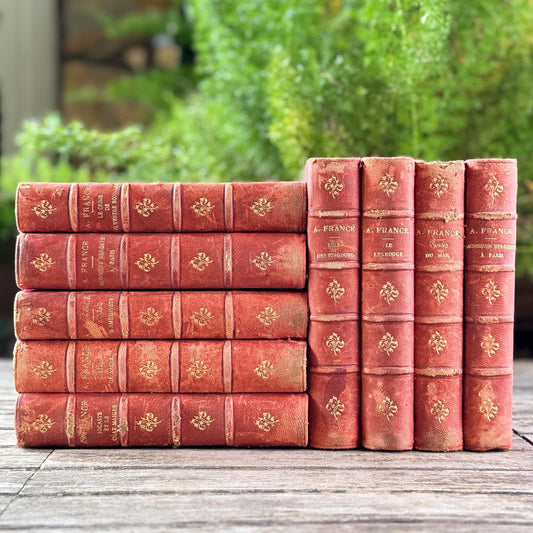 Antique French Red Leather Anatole France Book Set