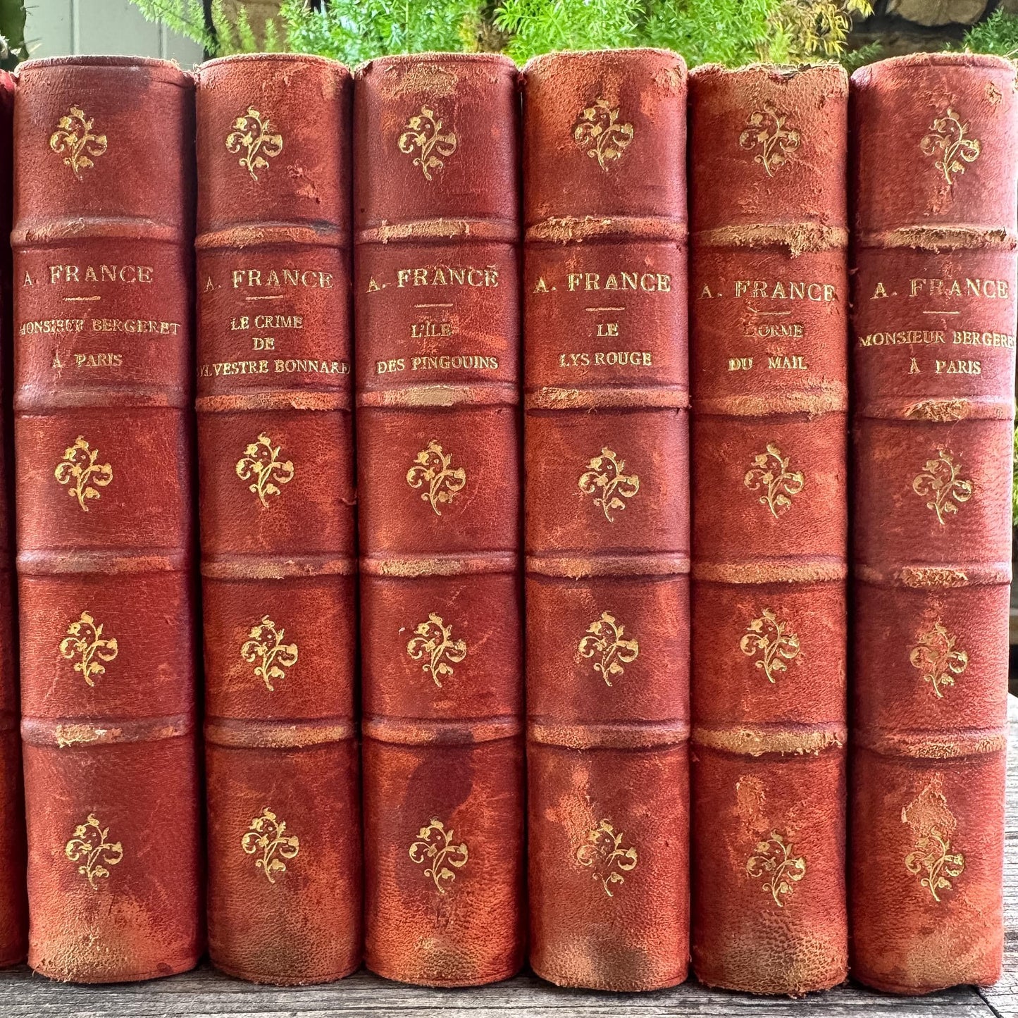 Antique French Red Leather Anatole France Book Set