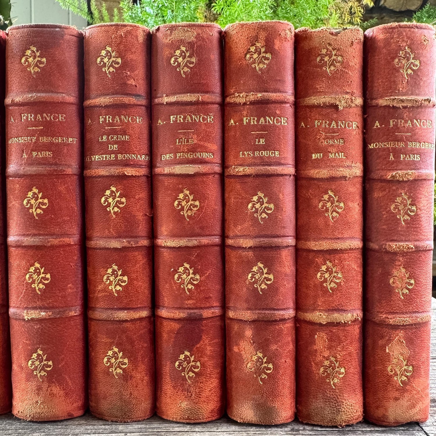 Antique French Red Leather Anatole France Book Set