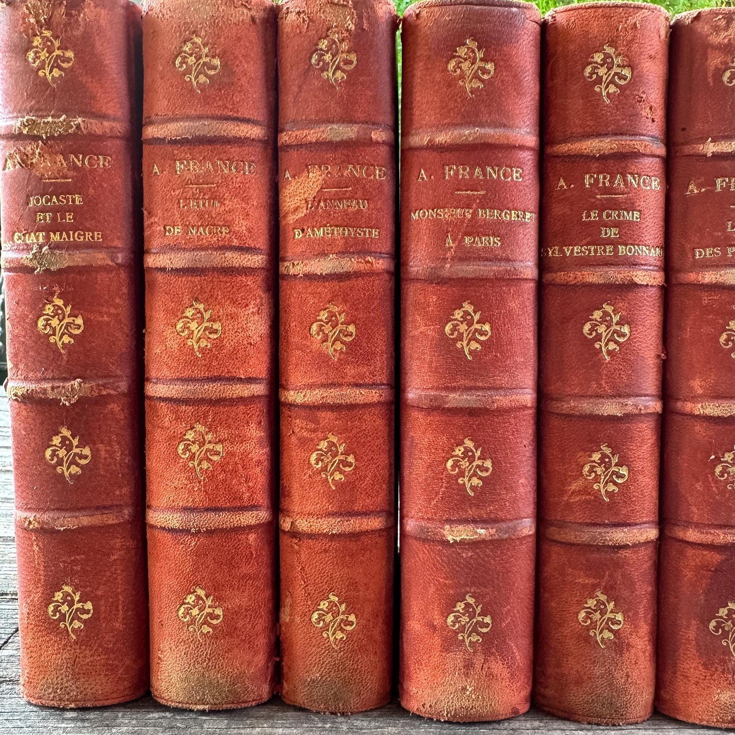 Antique French Red Leather Anatole France Book Set