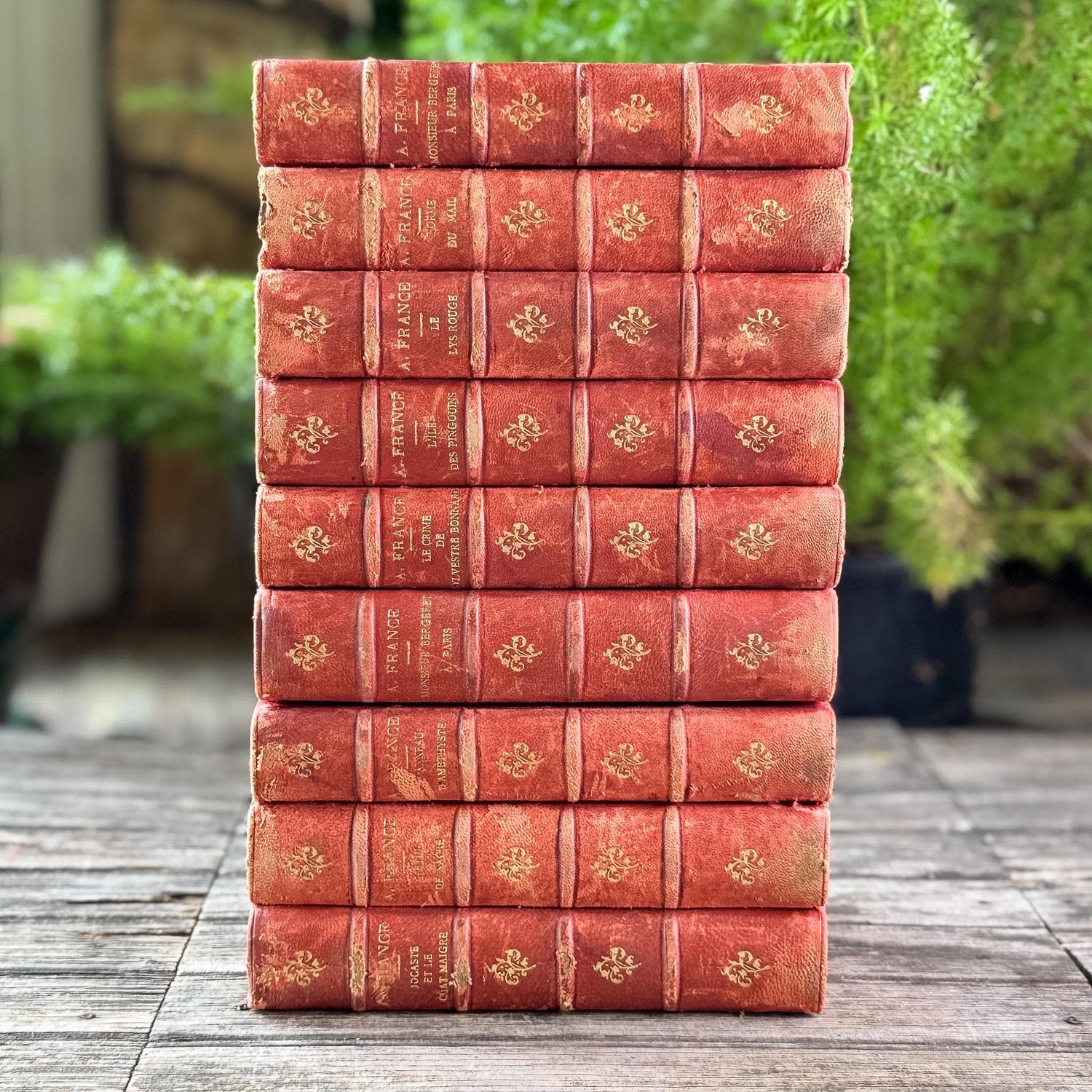 Antique French Red Leather Anatole France Book Set