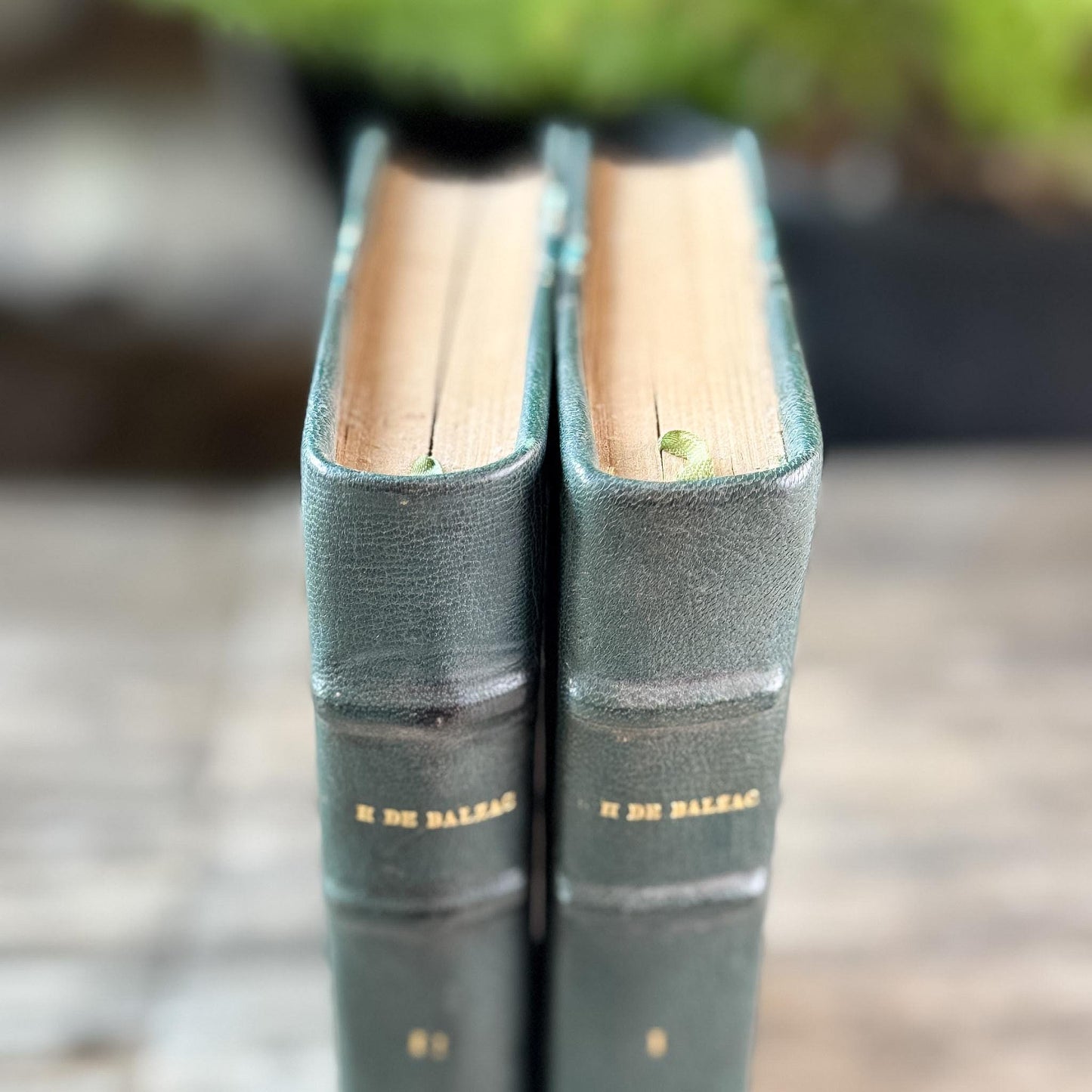 Balzac's Les Chouans, Two-Volume Antique Leather-Bound French Editions, 19th Century