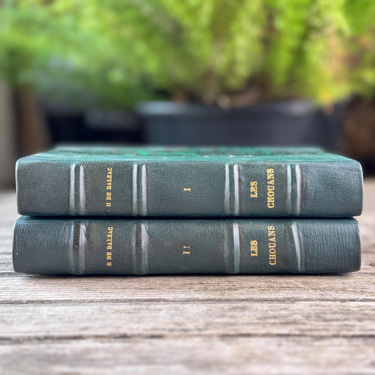 Balzac's Les Chouans, Two-Volume Antique Leather-Bound French Editions, 19th Century