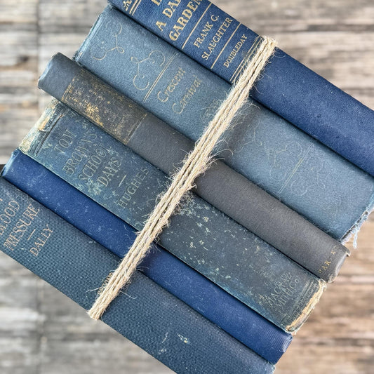 Indigo Blue, Navy, and Denim Vintage Book Set for Shelf Styling