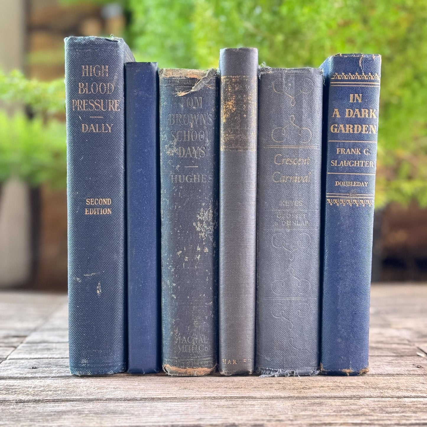 Indigo Blue, Navy, and Denim Vintage Book Set for Shelf Styling