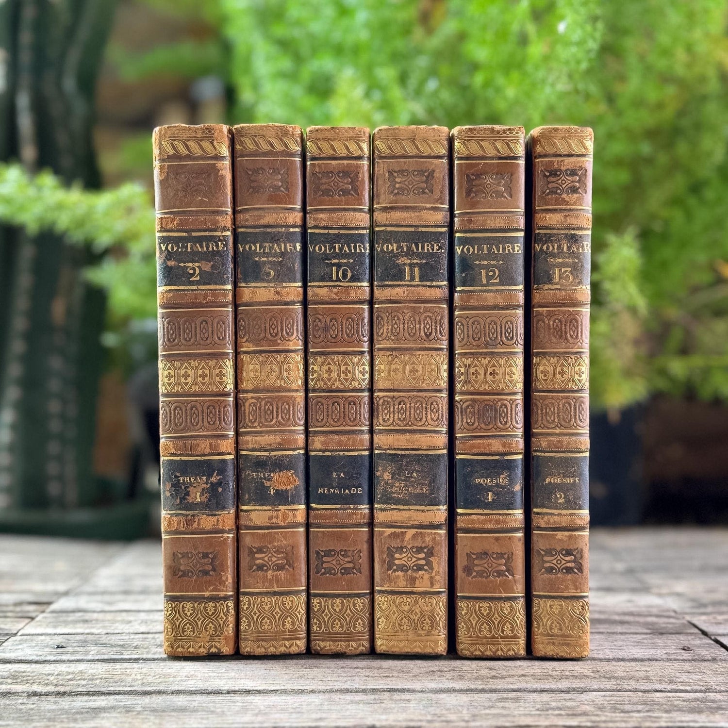 Antique Leather-Bound Voltaire Books in French, 1825