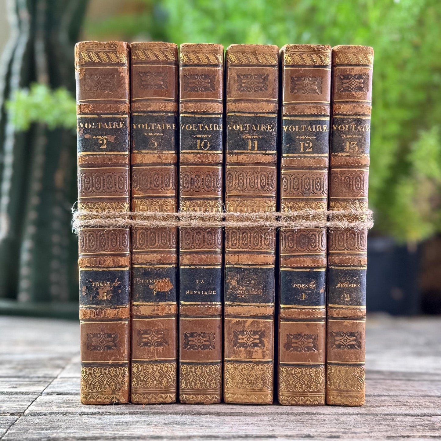Antique Leather-Bound Voltaire Books in French, 1825
