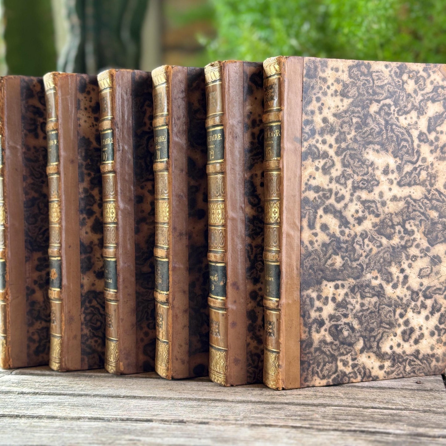 Antique Leather-Bound Voltaire Books in French, 1825