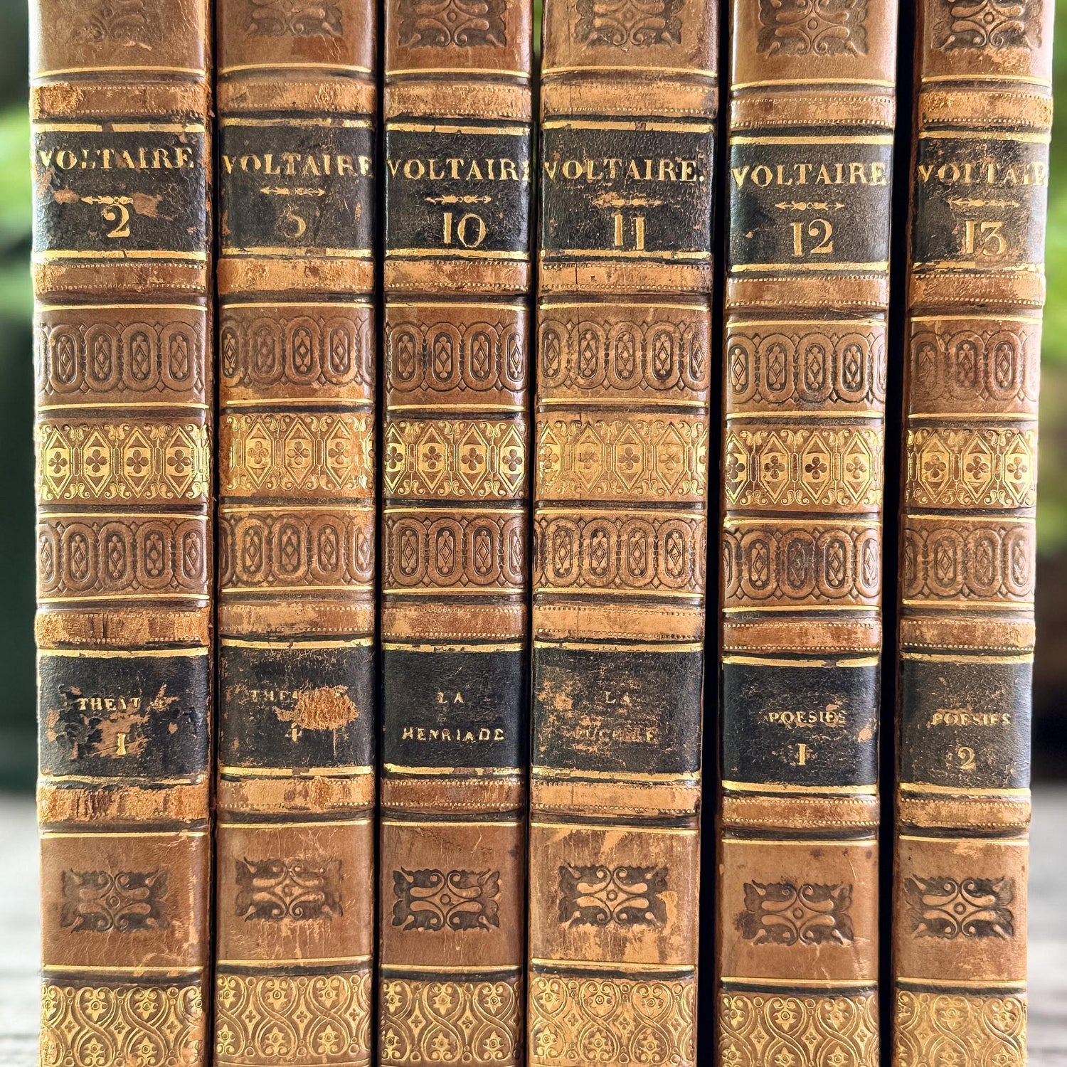 Antique Leather-Bound Voltaire Books in French, 1825