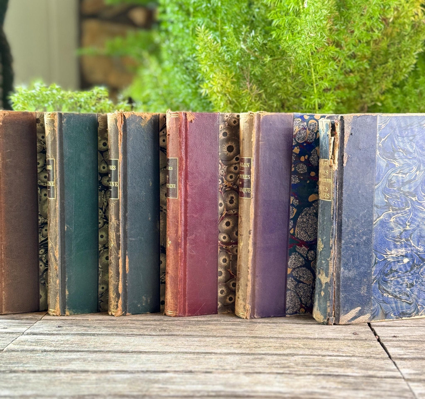 Antique French Leather-Bound Brown, Oxblood, and Navy Books for Library Styling