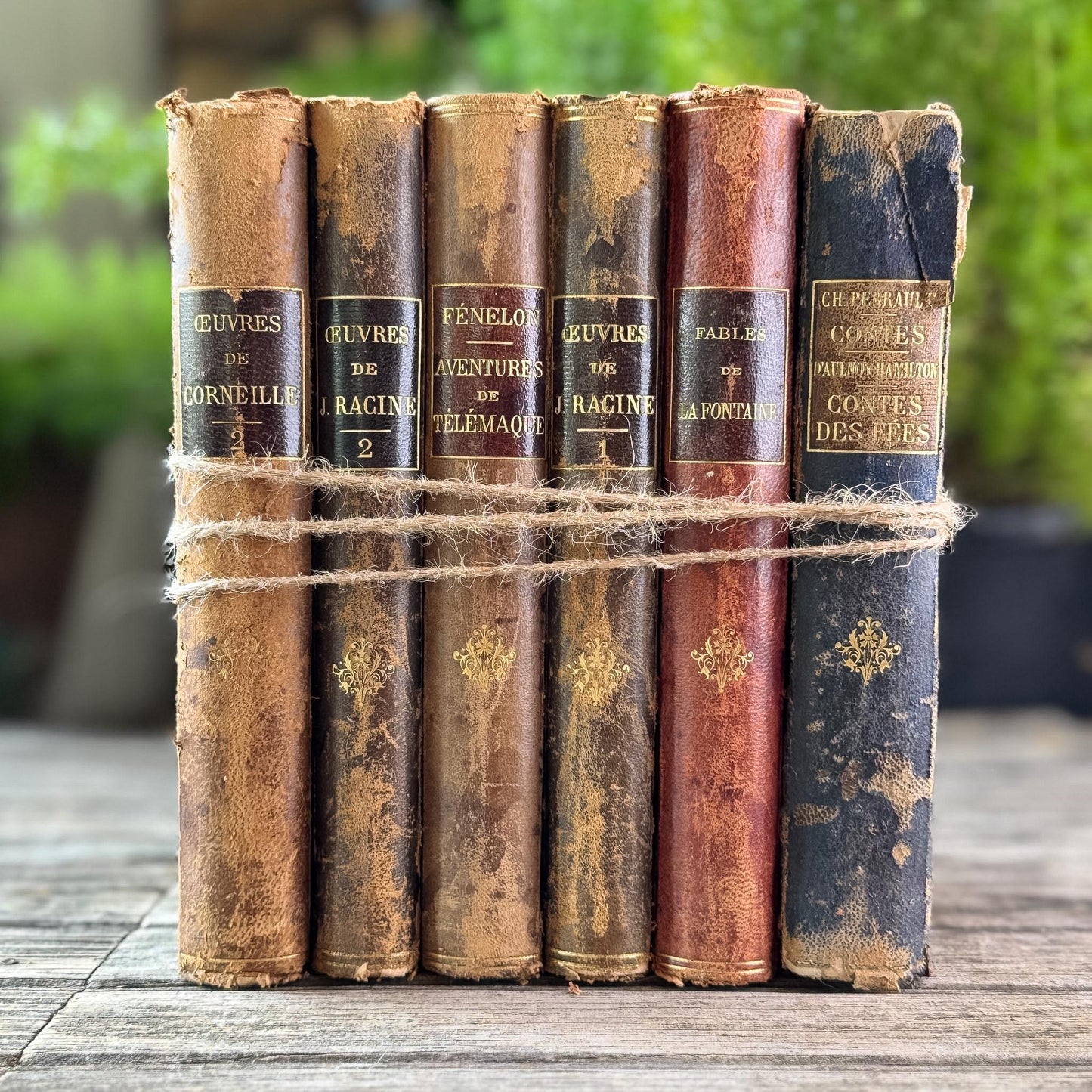Antique French Leather-Bound Brown, Oxblood, and Navy Books for Library Styling