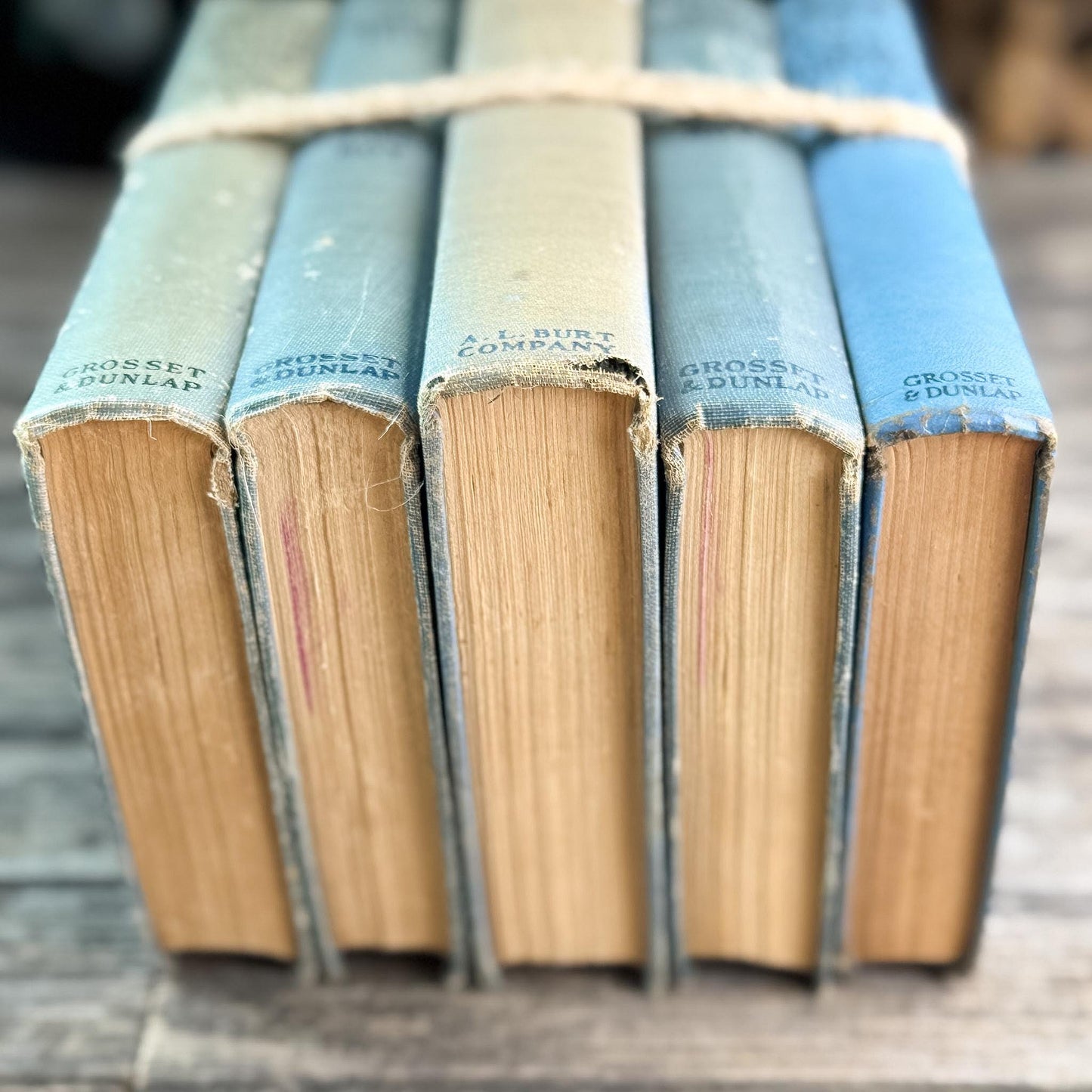 Children's Faded Blue Vintage Book Bundle with Under the Lilacs, Polly Books, and Pollyanna