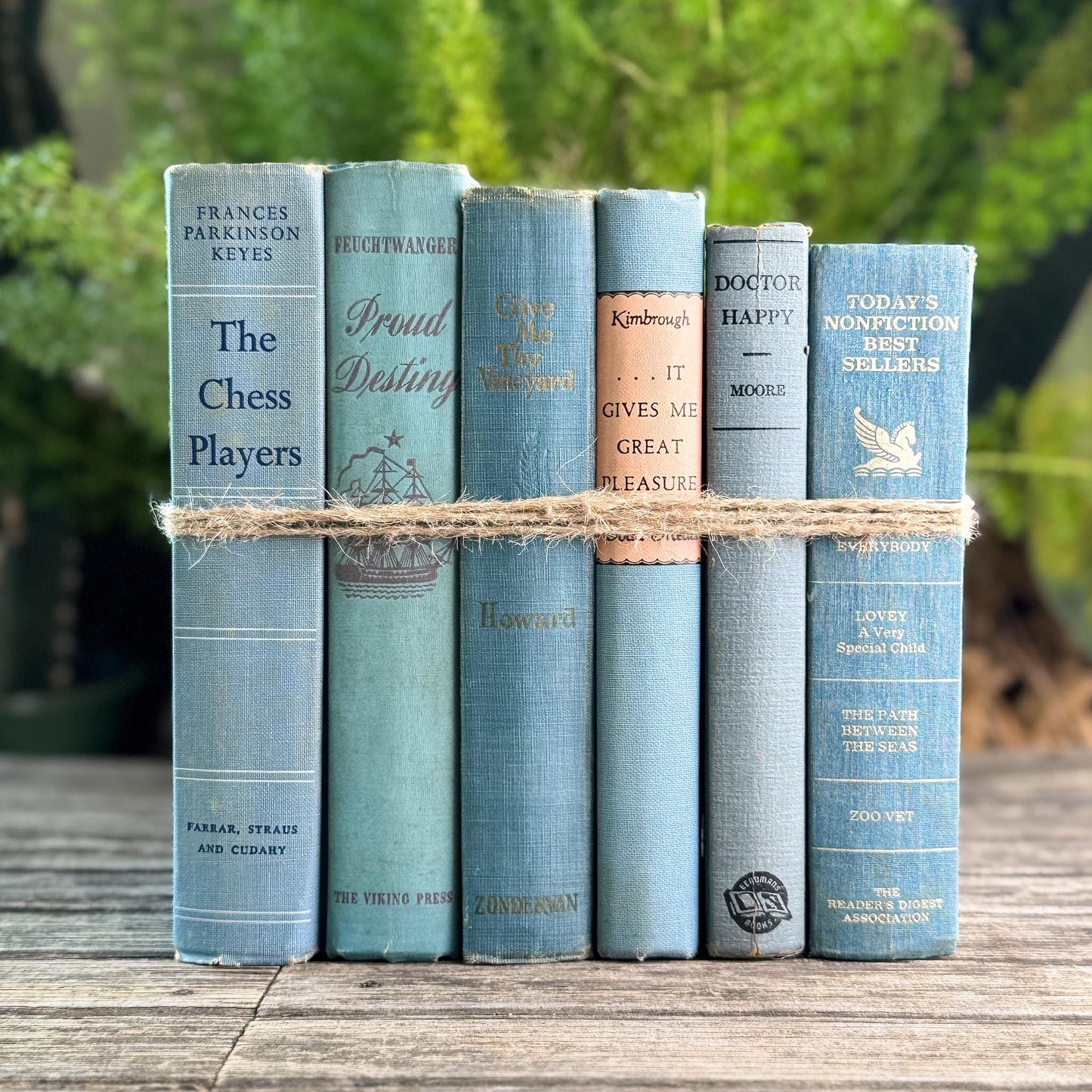 Light Blue Vintage Book Bundle for Cozy Coastal Decor