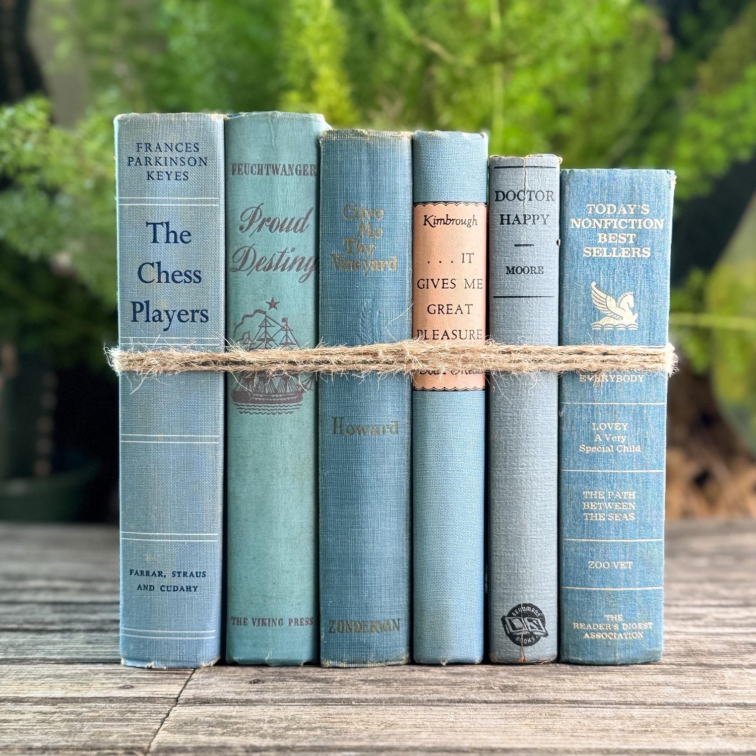 Light Blue Vintage Book Bundle for Cozy Coastal Decor