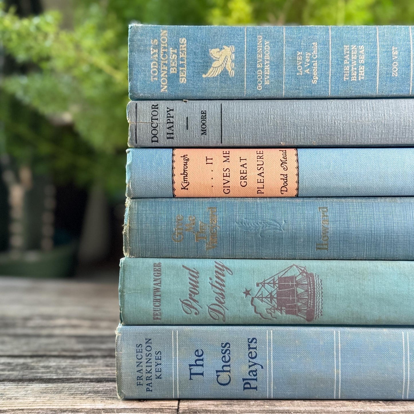 Light Blue Vintage Book Bundle for Cozy Coastal Decor