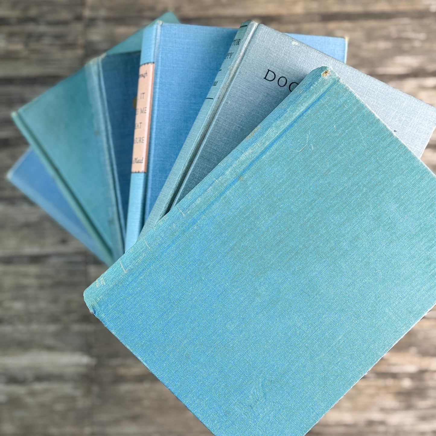 Light Blue Vintage Book Bundle for Cozy Coastal Decor