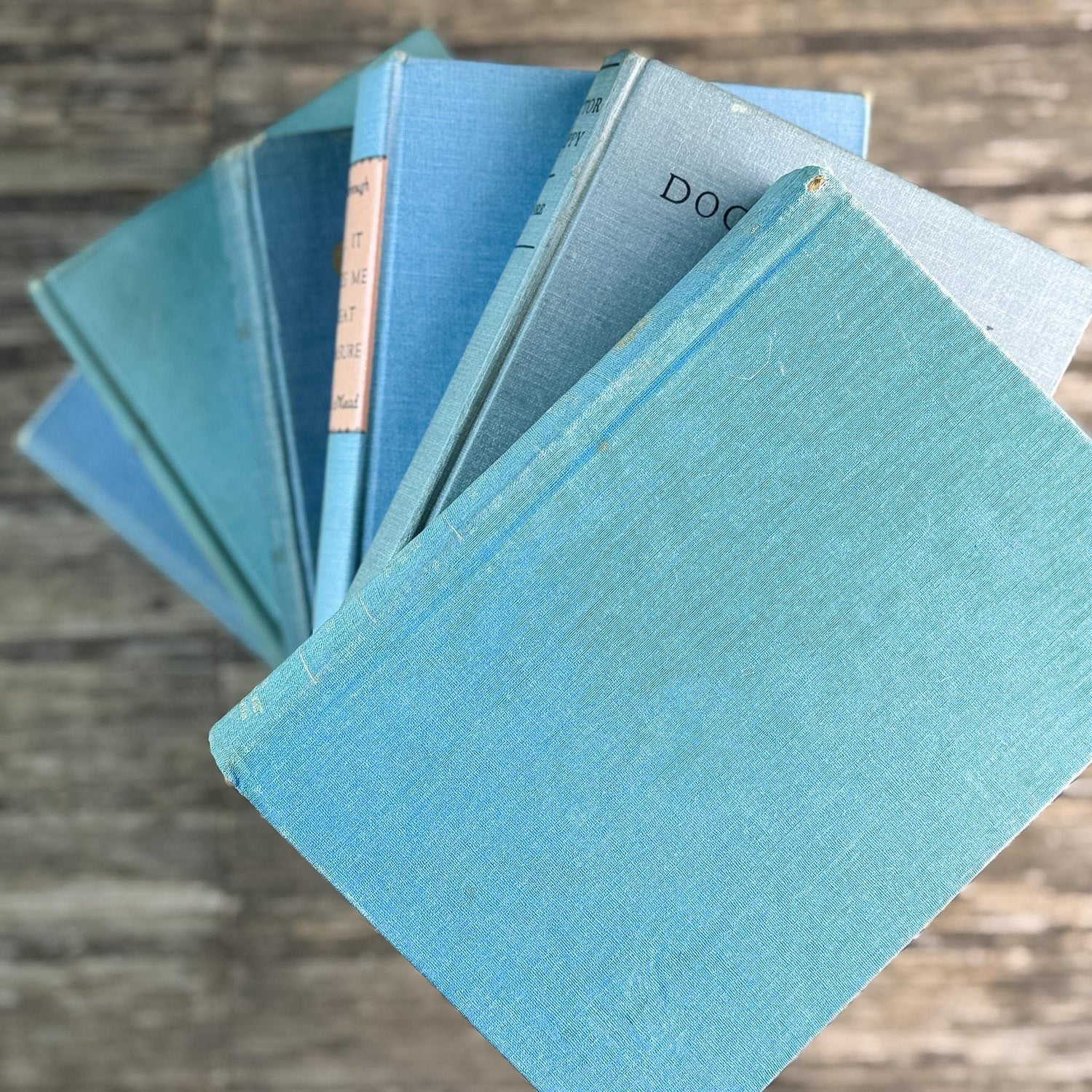 Light Blue Vintage Book Bundle for Cozy Coastal Decor