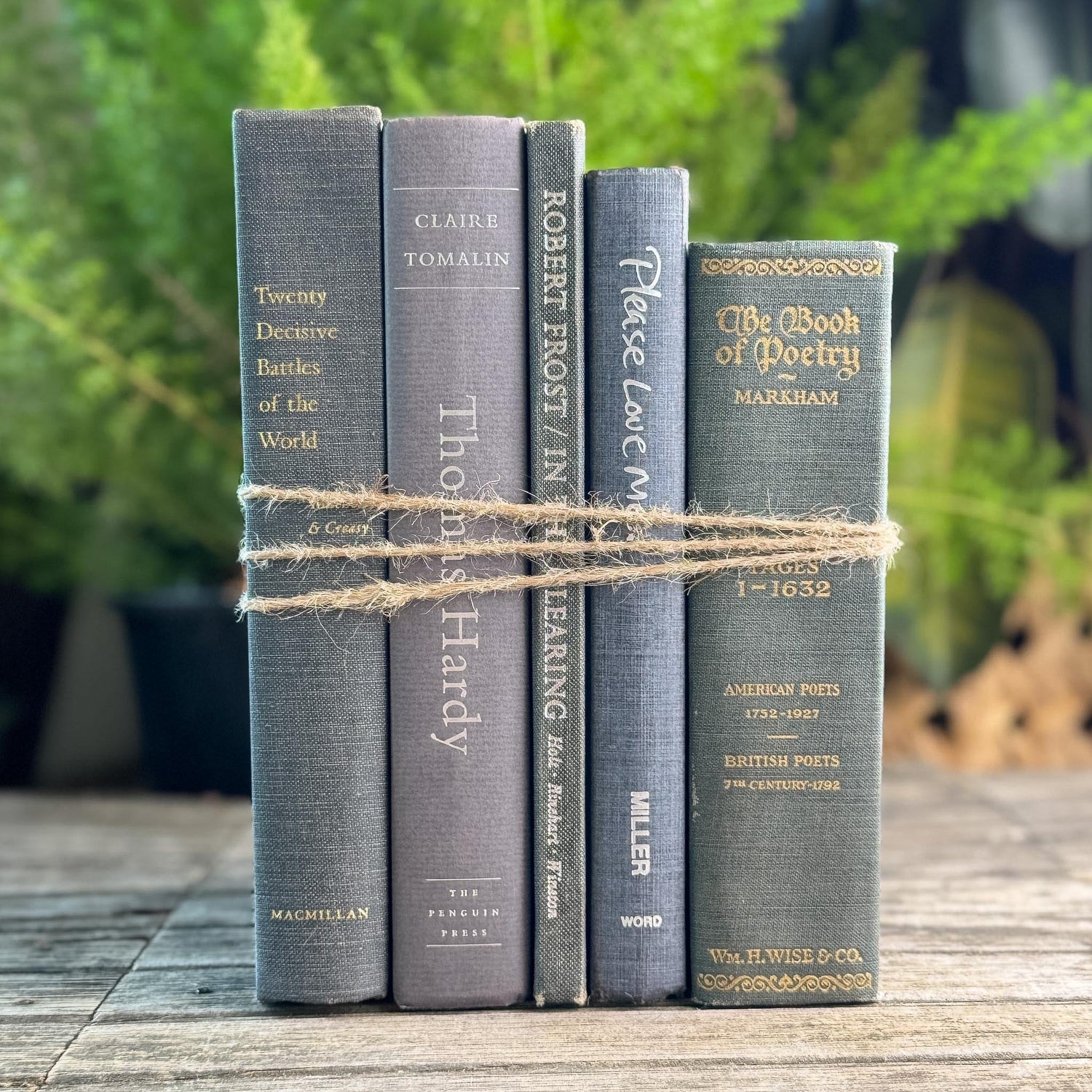 Gray Clean Minimalist Vintage Book Bundle for Masculine Shelf Decor