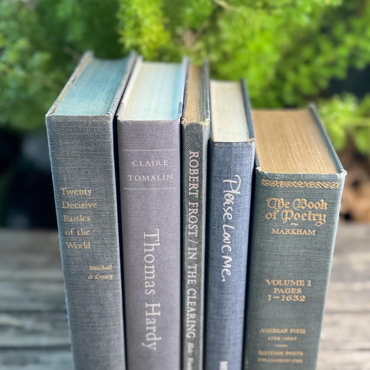 Gray Clean Minimalist Vintage Book Bundle for Masculine Shelf Decor