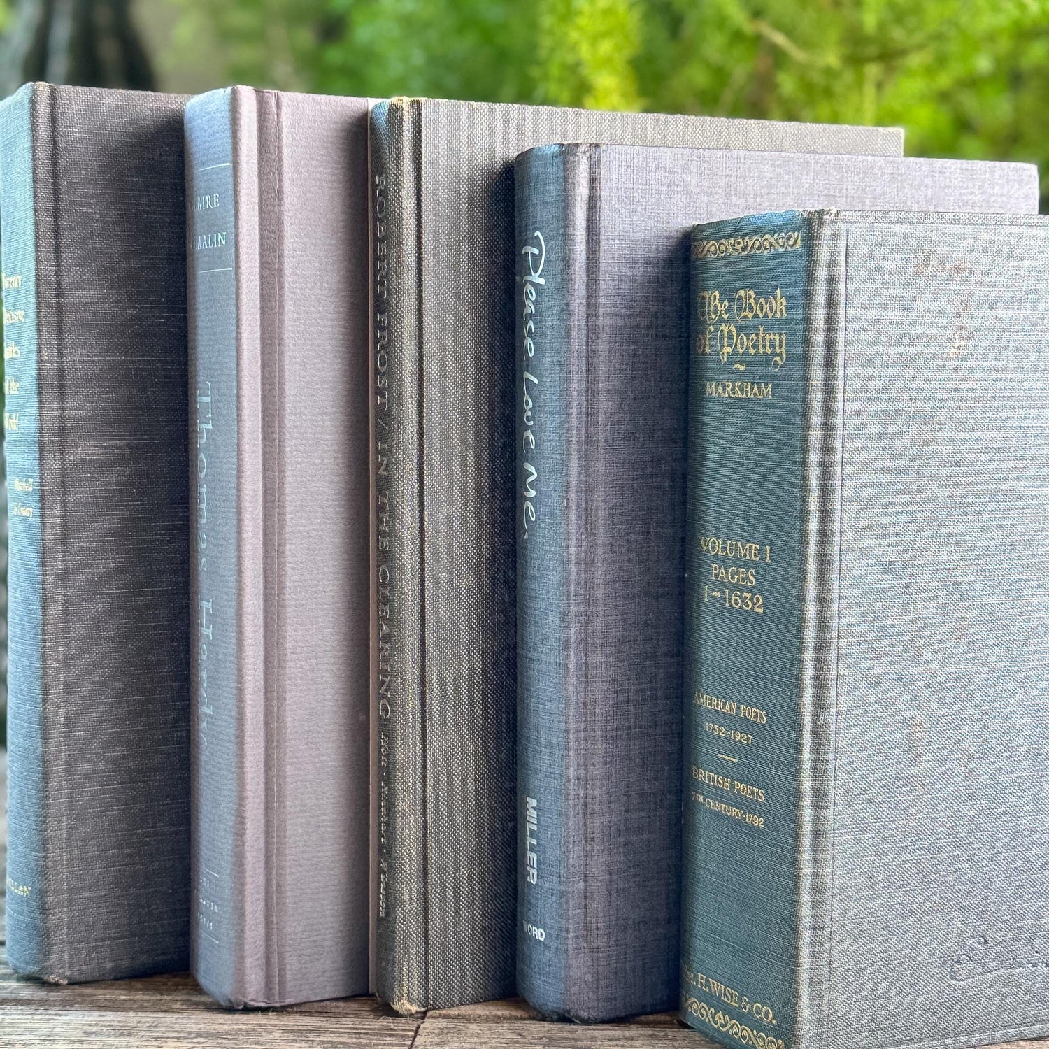 Gray Clean Minimalist Vintage Book Bundle for Masculine Shelf Decor