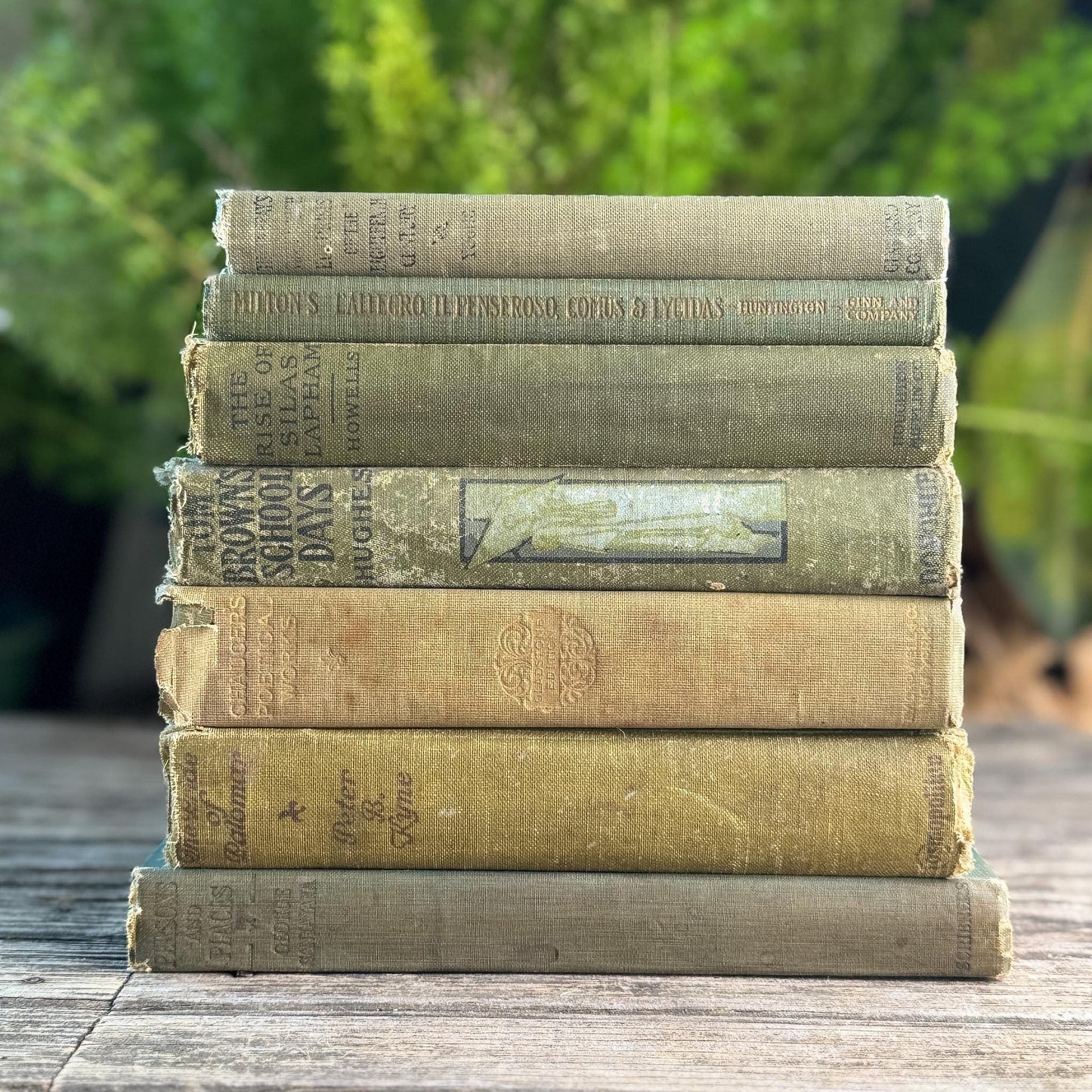 Shabby Antique Green Book Bundle for Moody Shelf Styling