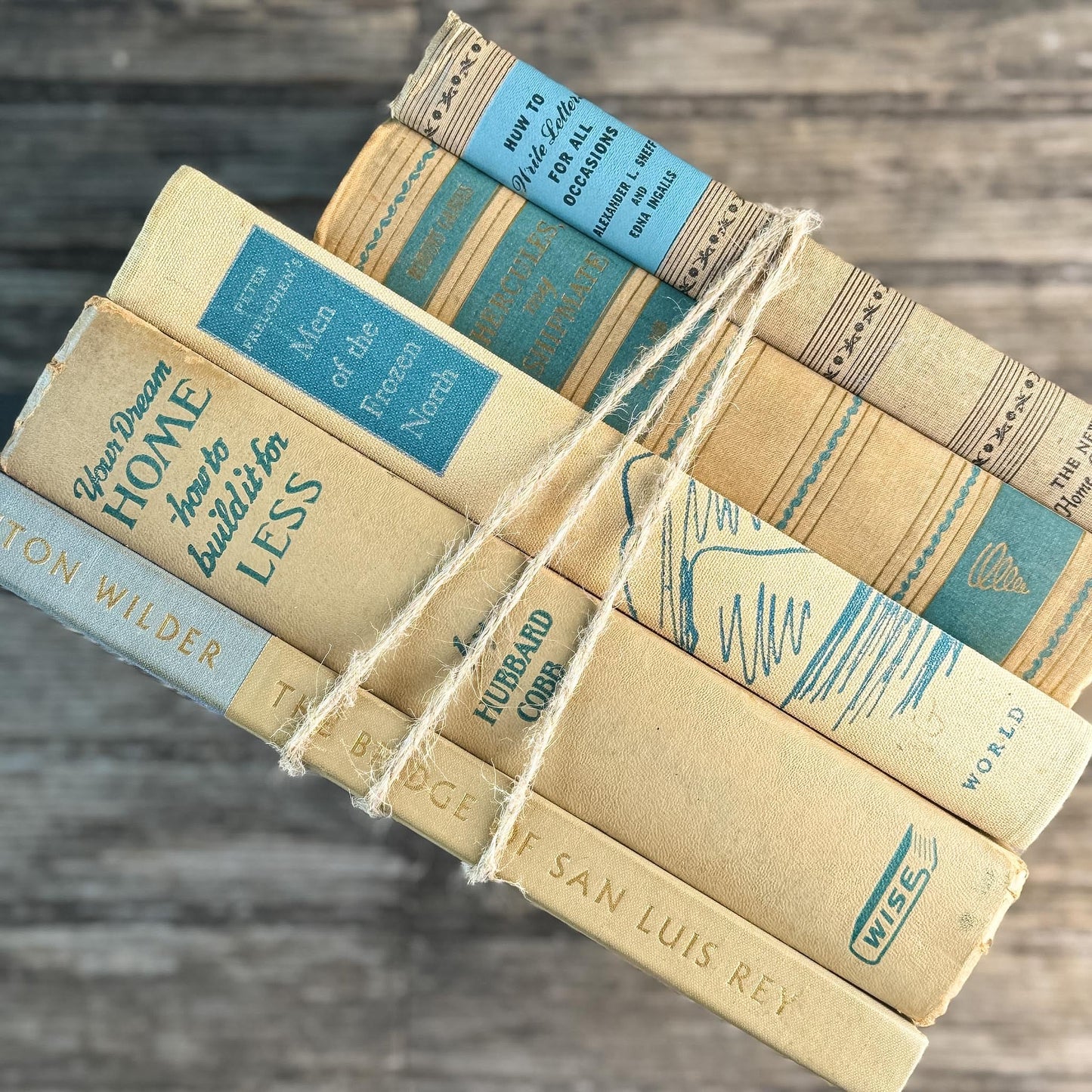 Blue & Tan Soft and Cozy Vintage Book Bundle