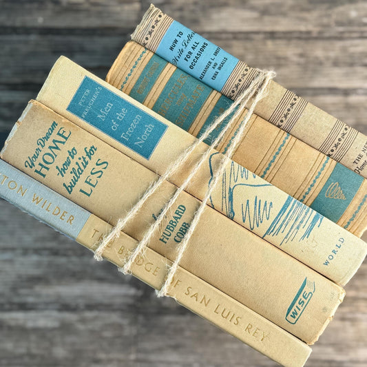 Blue & Tan Soft and Cozy Vintage Book Bundle