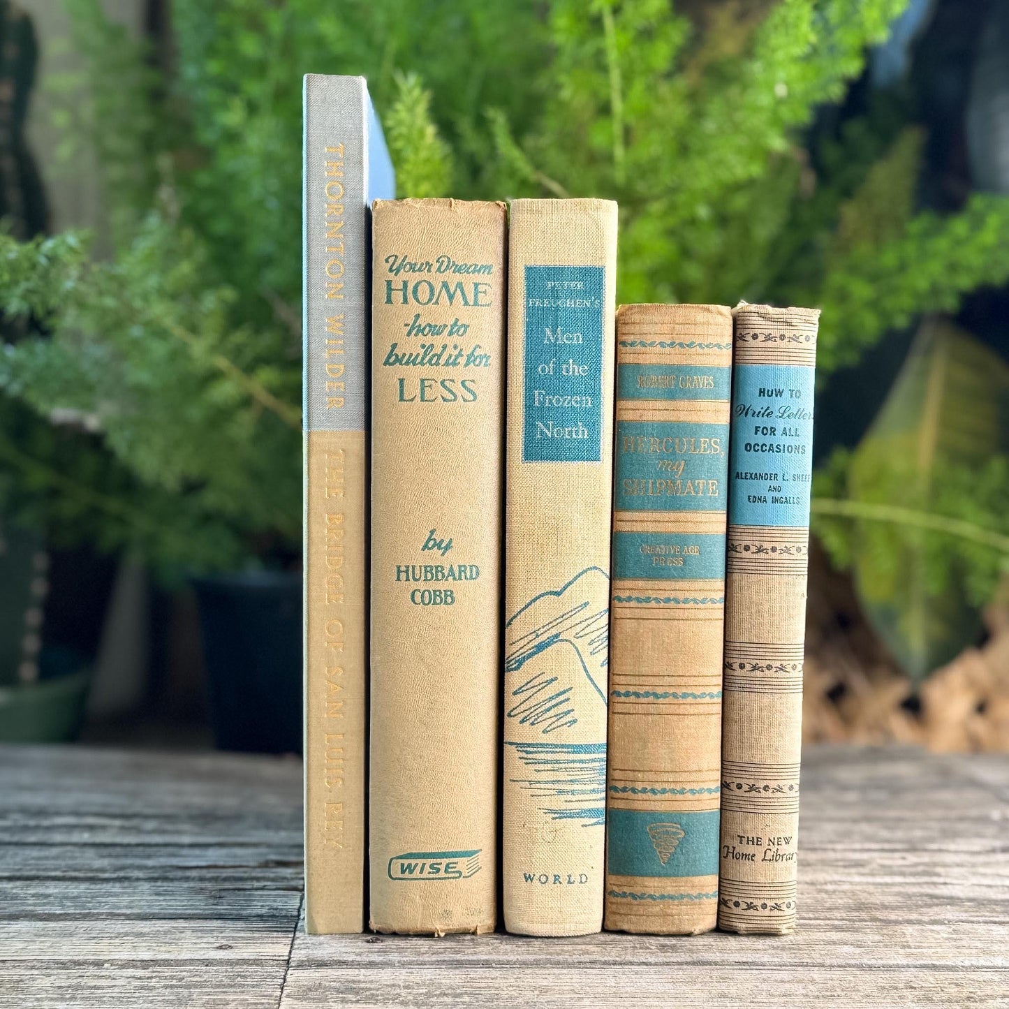 Blue & Tan Soft and Cozy Vintage Book Bundle