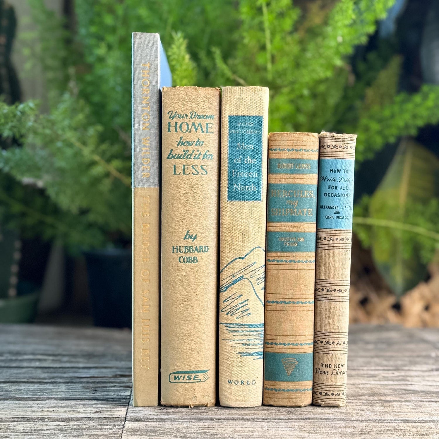 Blue & Tan Soft and Cozy Vintage Book Bundle