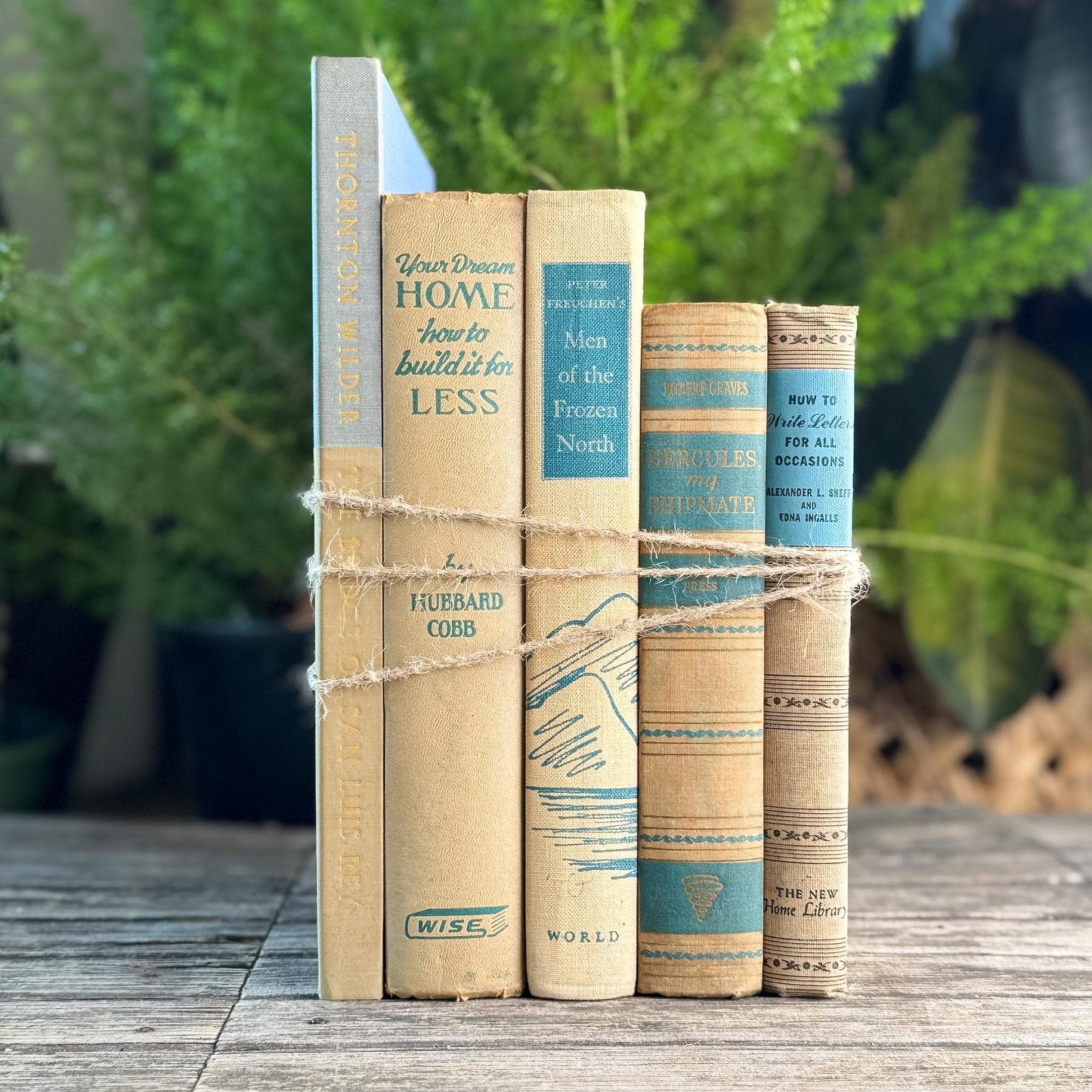 Blue & Tan Soft and Cozy Vintage Book Bundle